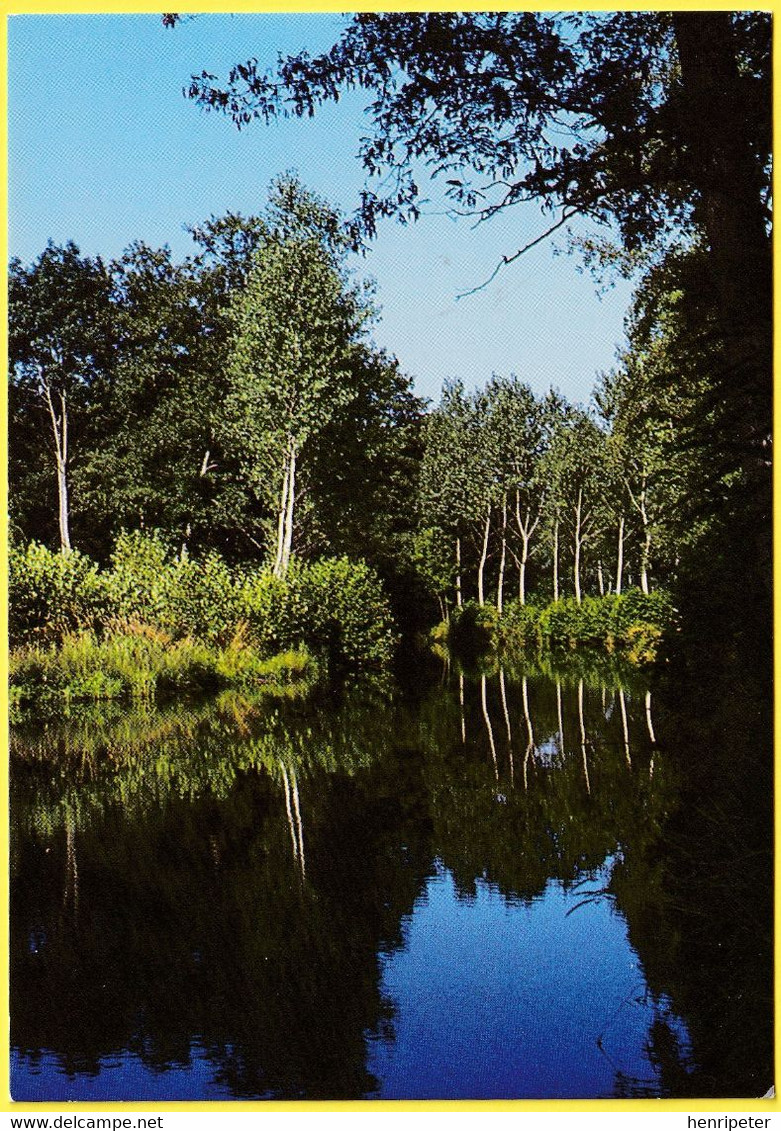 POMMIERS EN FOREZ (Loire) - Plan D'eau Près Du Camping - Éditions CELLARD 13 Rue De L'Économie 69500 BRON - Charlieu