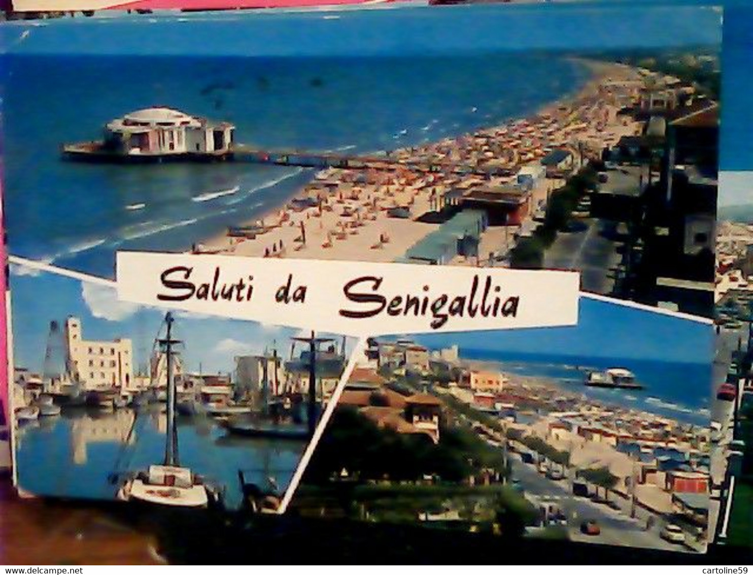 9 CARD SENIGALLIA VARIE VB1963/81  IV1132