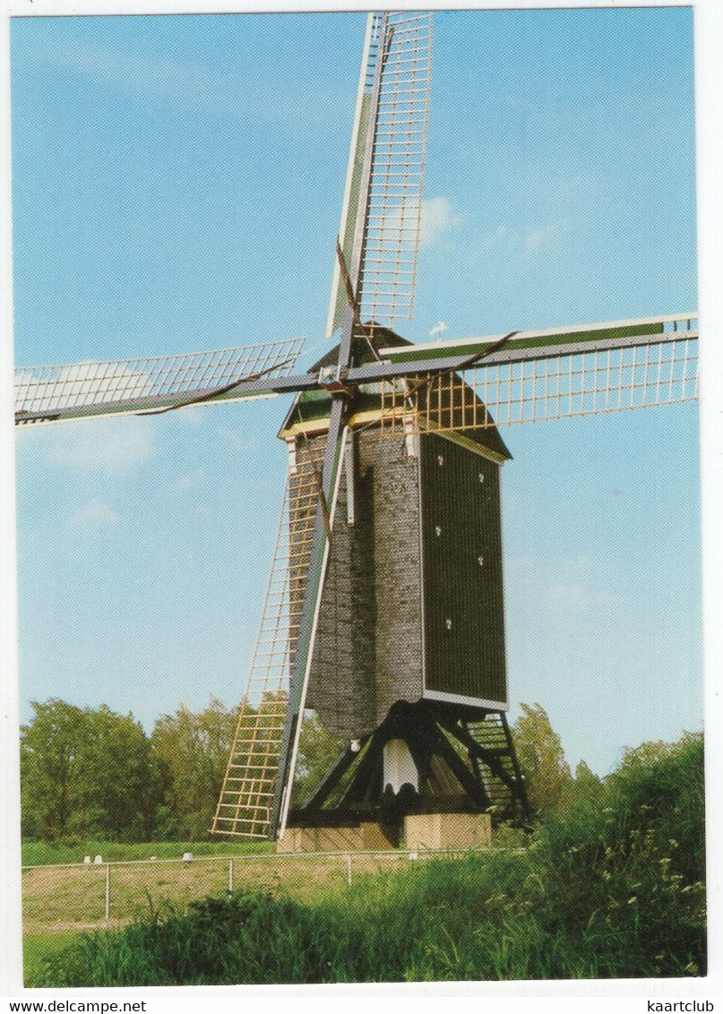 Brielle - Molen 't Vliegend Hert - (Zuid-Holland, Nederland) - Moulin/Mill/Mühle/Molen - Brielle