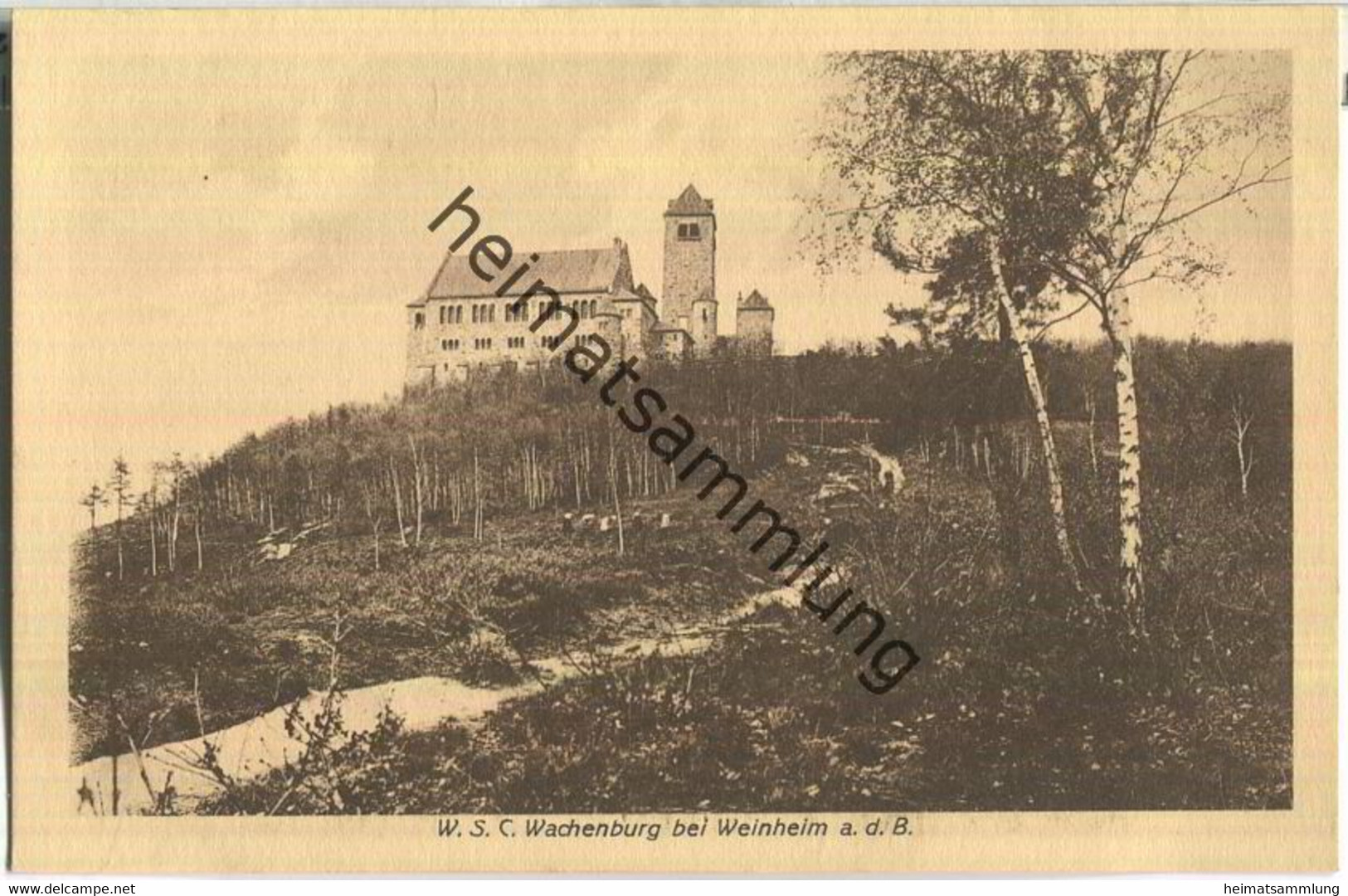 Wachenburg Bei Weinheim - Weinheim