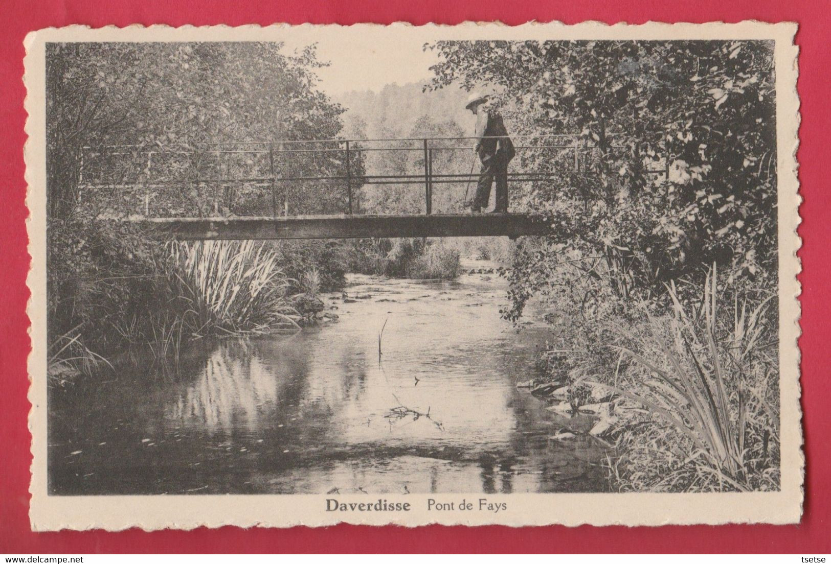 Daverdisse - Pont De Fays ( Voir Verso ) - Daverdisse