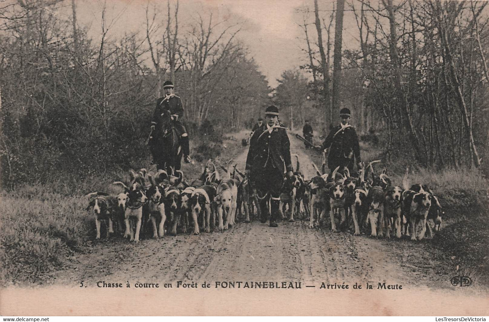 CPA Chasse à Courre -  Chasse à Courre En Foret De Fontainebleau - Arrivée De La Meute - Chasse