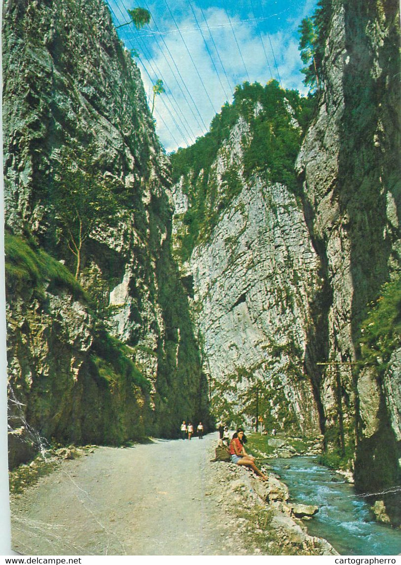 Romania Carpathian Mountains Narrows Cheile Dambovicioarei 1980 Postcard - Romania