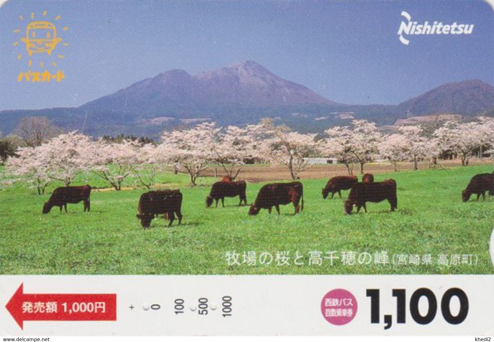 Carte Prépayée JAPON  - ANIMAL - TAUREAU - BULL  JAPAN Prepaid Bus Card - STIER TORO - Nishi 54 - Koeien