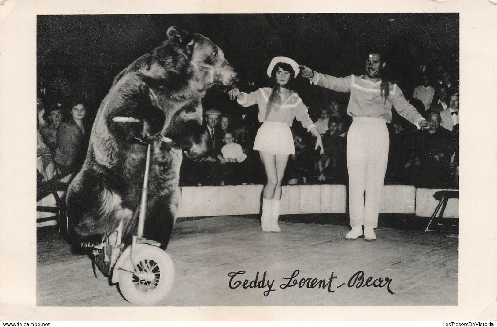 CP Cirque - Teddy Lorent Bear - Spectacle - Ours Sur Un Vélo - Circo