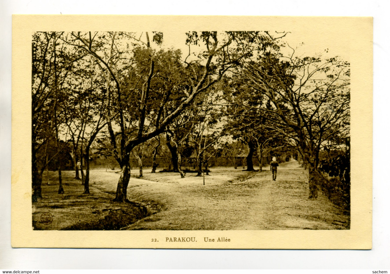 DAHOMEY 142 PARAKOU Carrefour Allées Arbres écrite 9 Mai 1914 De Cotonou  Ly - Dahomey