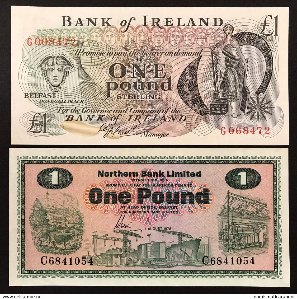 Irlanda Ireland 1 Pound 1978 1980  Sup Q.fds LOTTO 4056 - Irland