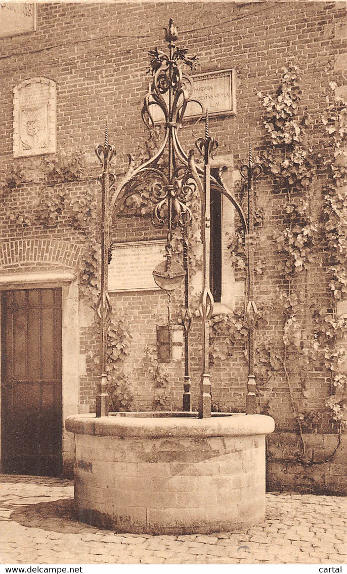 Château De GAESBEEK Lez-Bruxelles - Puits (à L'instar De Cluny). - Lennik