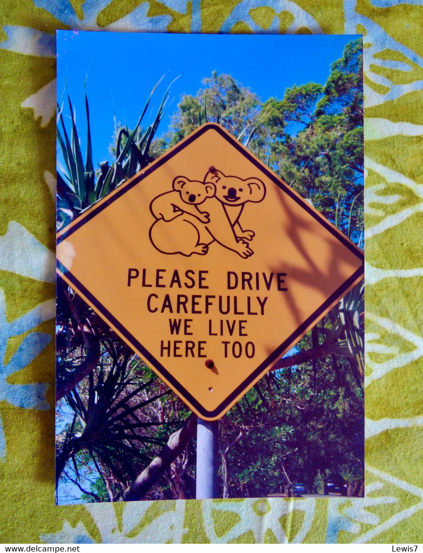 PHOTO : Road Sign With KOALAS - Brisbane