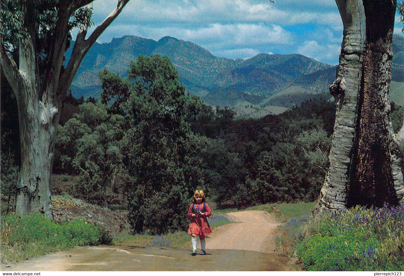 Flinders Ranges - La Magnifique Chaîne De Flinders - Flinders Ranges