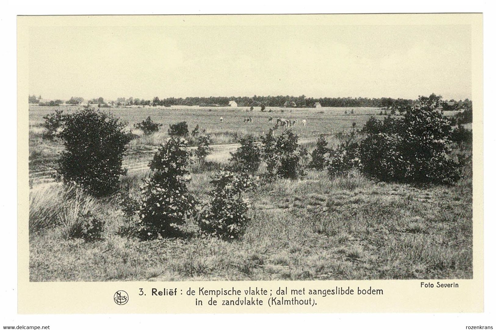 Kalmthout - De Kempische Vlakte Dal Met Aangeslibde Boden In De Zandvlakte - Kalmthout