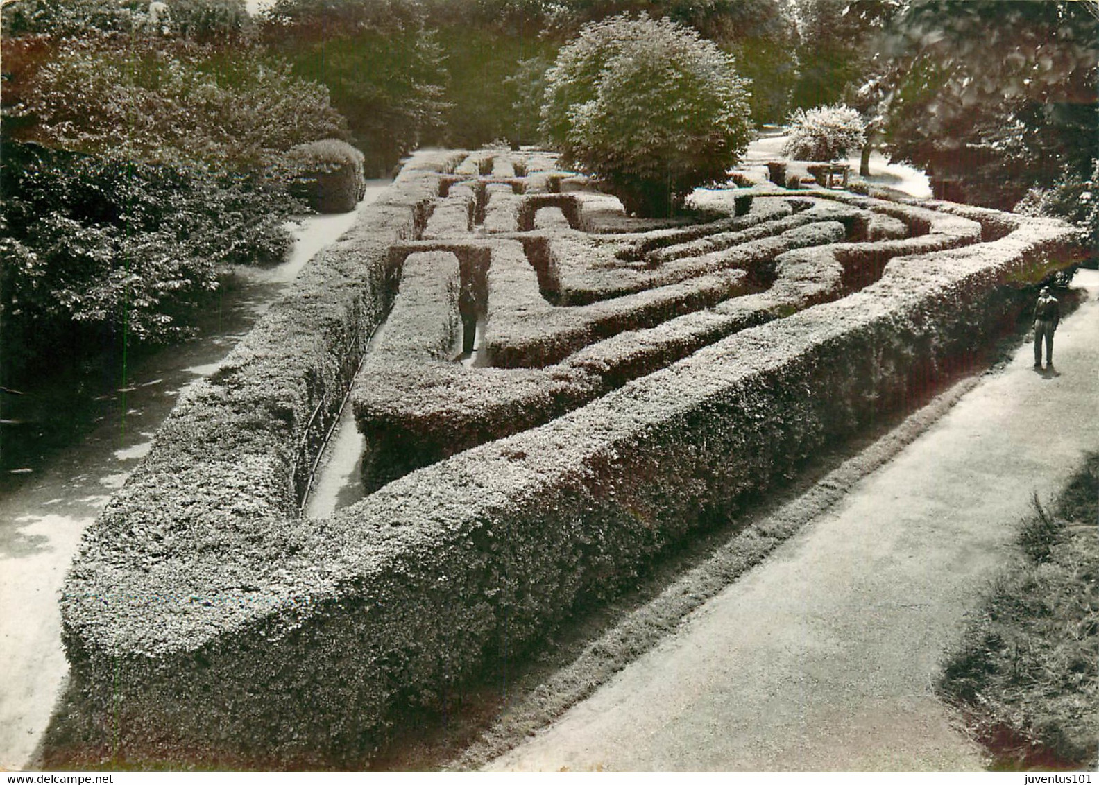 CPSM Hampton Court Palace-The Maze      L1769 - Middlesex