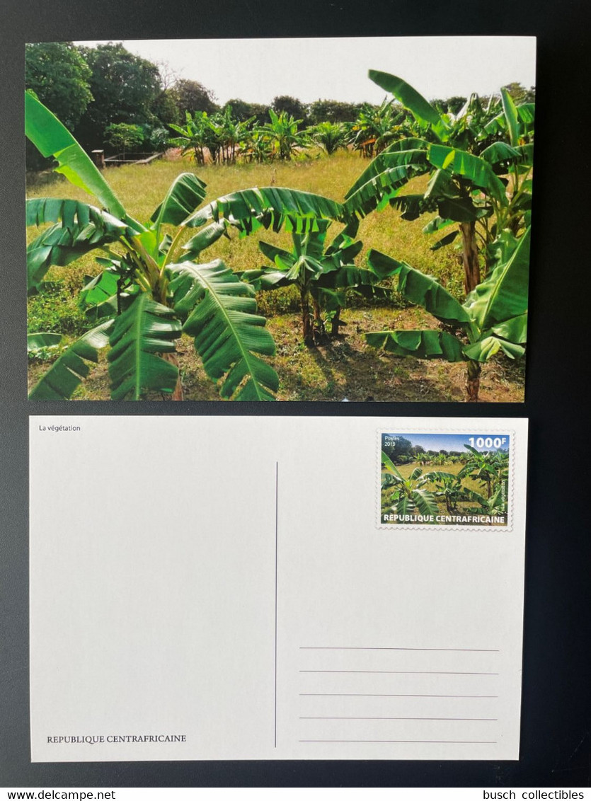 Centrafrique Central Africa 2019 Mi. 8634 Stationery Entier Ganzsache Végétation Palmiers Palmen Palm Trees - Árboles