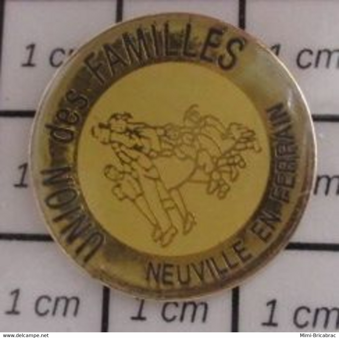 1110 Pin's Pins / Beau Et Rare / THEME : ASSOCIATIONS / UNION DES FAMILLES NEUVILLE EN FERRAIN Nord, En Région Hauts-de- - Associations