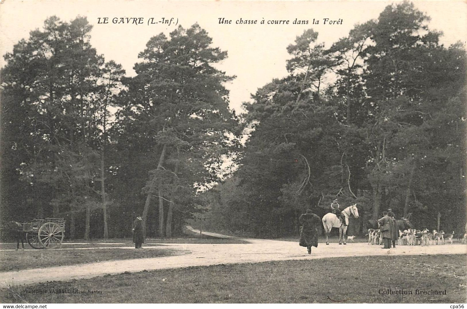 LE GÂVRE - Chasse à Courre Dans La Forêt - VENTE DIRECTE X - Le Gavre