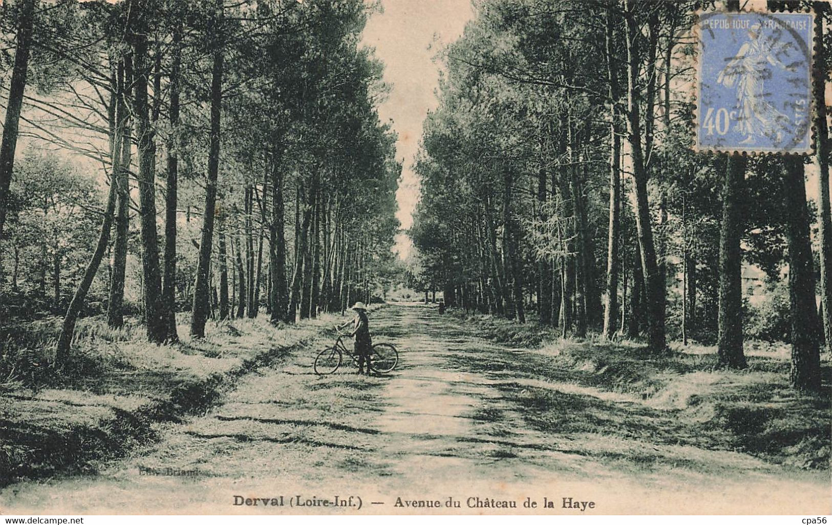 DERVAL - Avenue Du Château De La HAYE - VENTE DIRECTE X - Derval