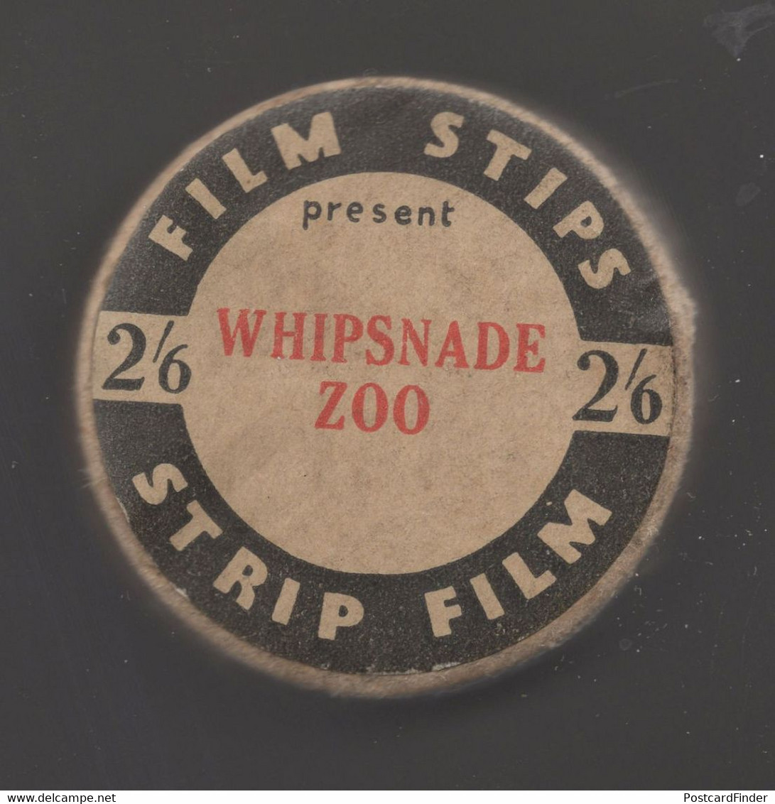 Whipsnade Zoo Antique Film Strip In Case RARE - Bobinas De Cine: 35mm - 16mm - 9,5+8+S8mm