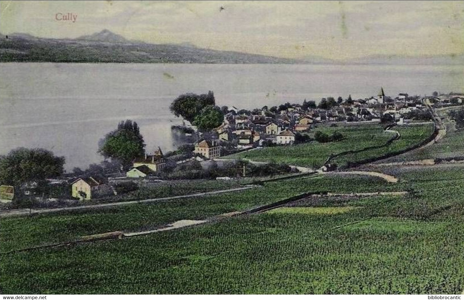 SUISSE - VAUD < PANORAMA DE CULLY - Cully