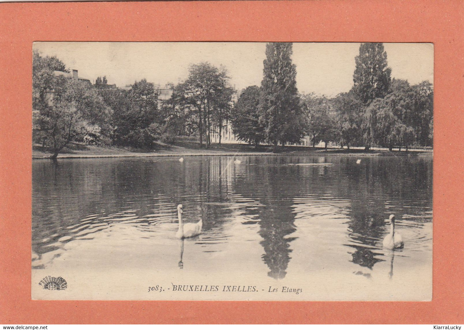 BRUXELLES IXELLES LES ETANGS + CYGNES - ECRITE - Forêts, Parcs, Jardins