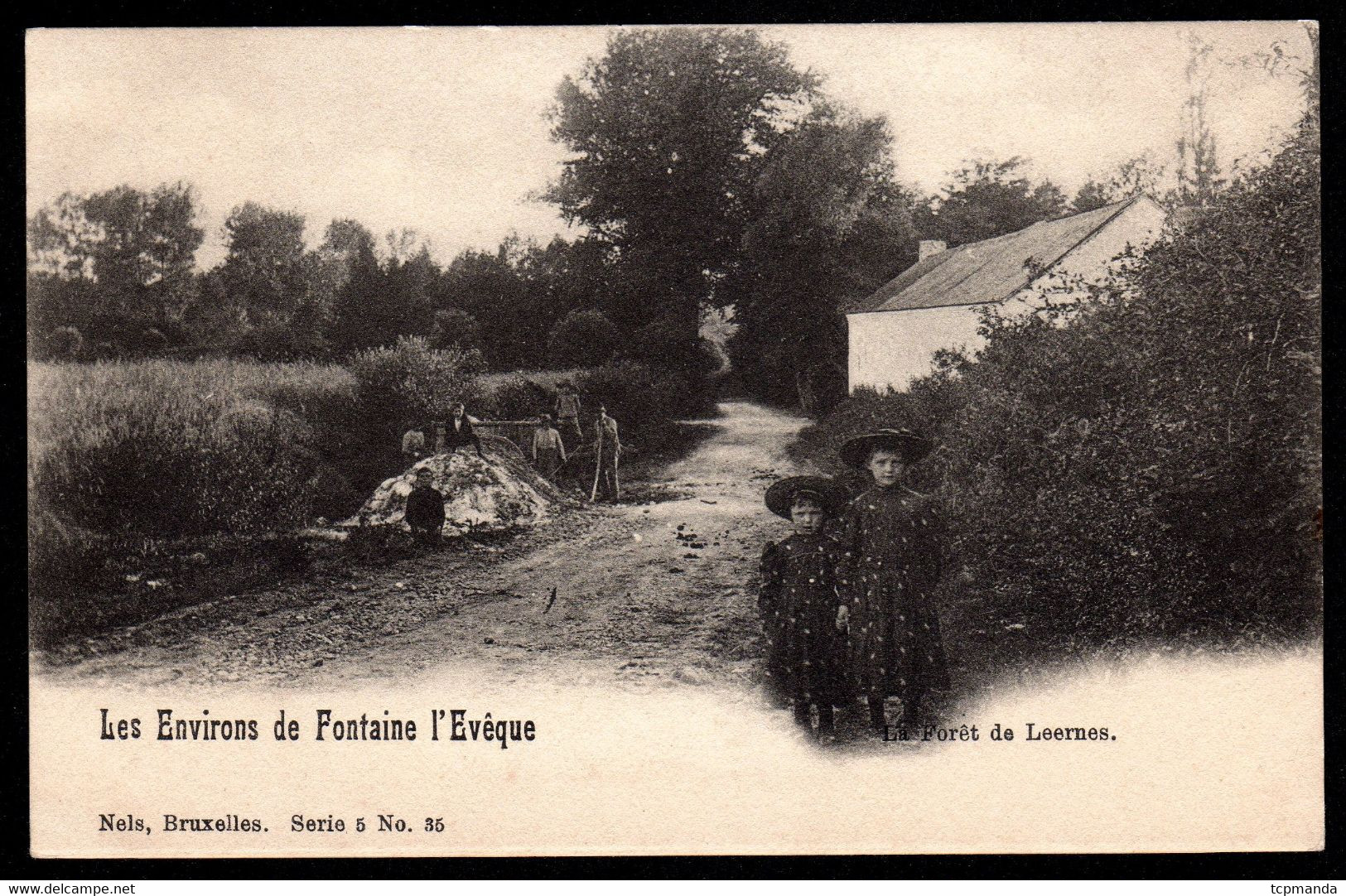 FONTAINE L'EVÊQUE - La Forêt De Leernes - Fontaine-l'Eveque