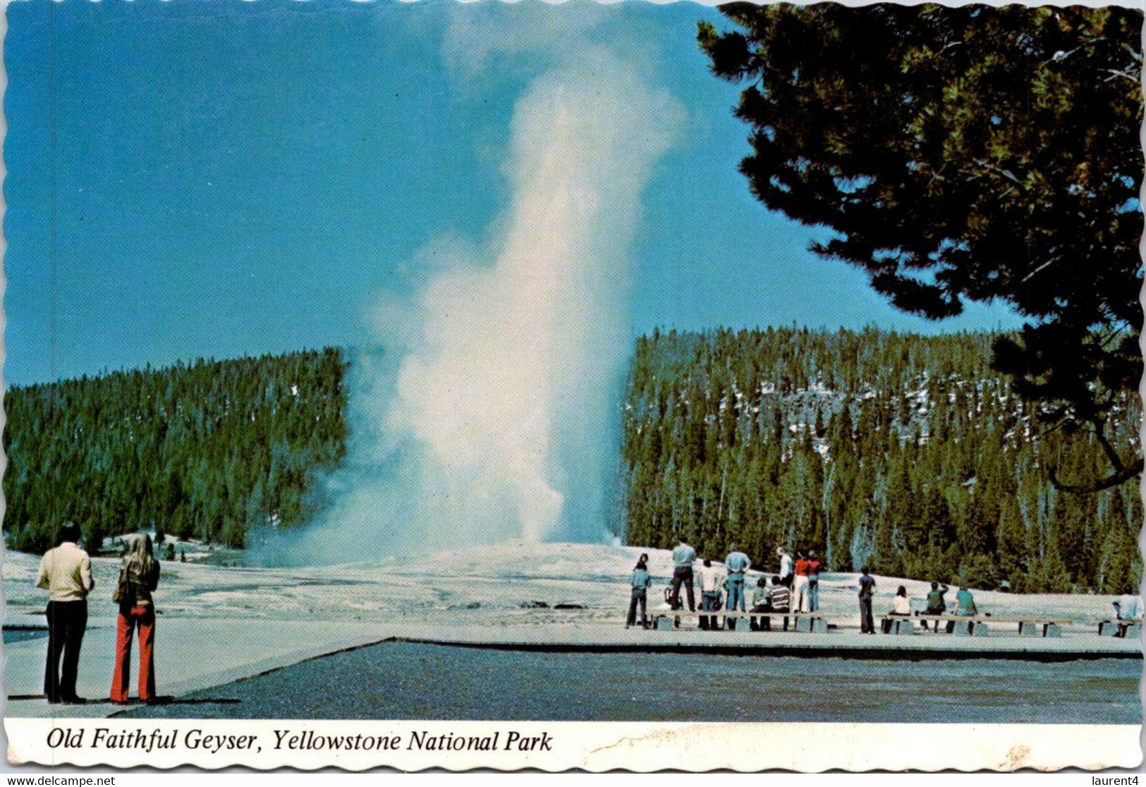 (1 K 34) USA - Old Faitful Geyser - Yellowstone