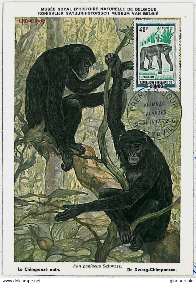 32158 - CONGO- POSTAL HISTORY -MAXIMUM CARD - 1972 :Gorillas, Wild Animals - Gorilles