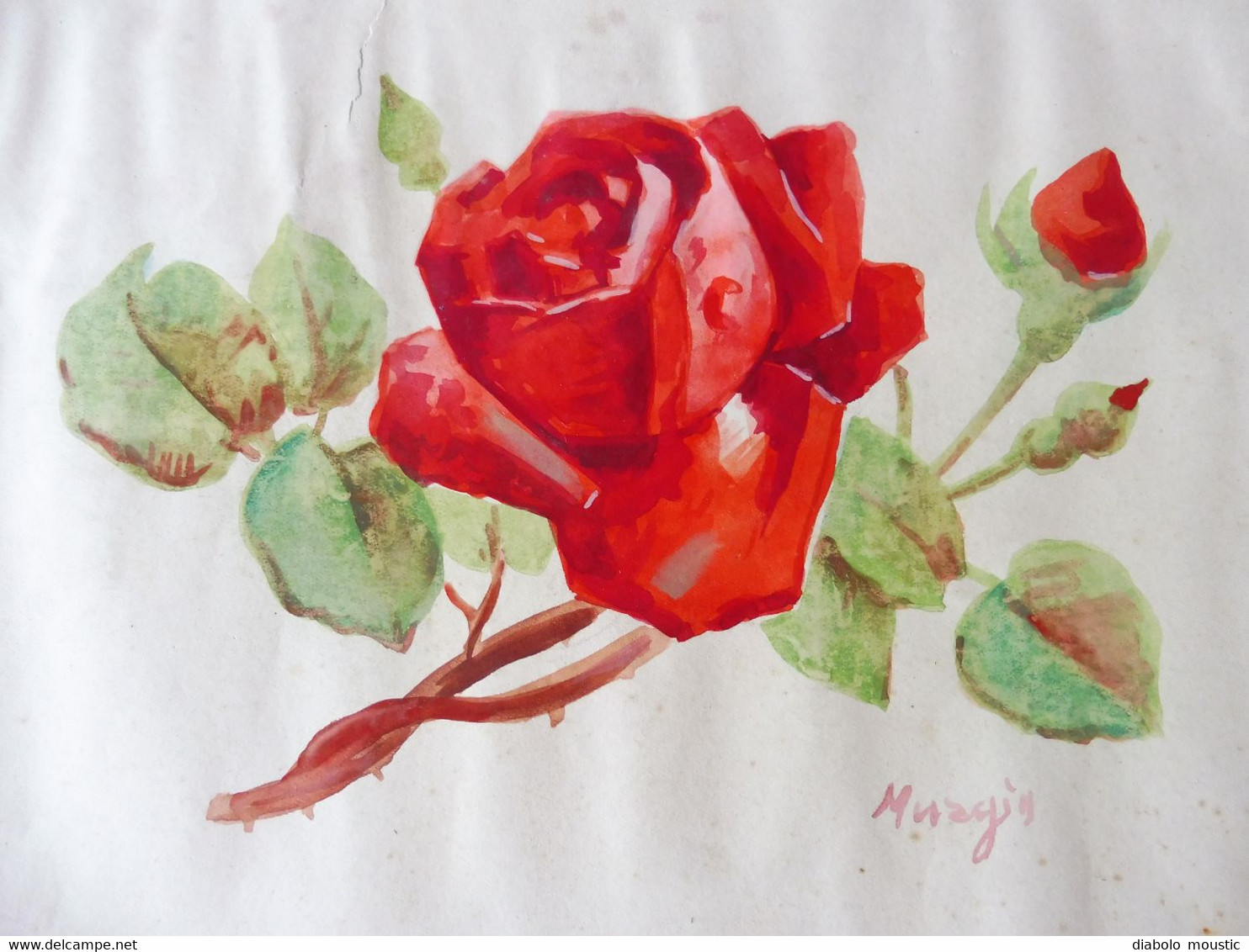 Aquarelle  FLEURS  " Rose Et Boutons  " Signé Murzin  Dimensions Hors - Tout 32 X 22cm - Wasserfarben