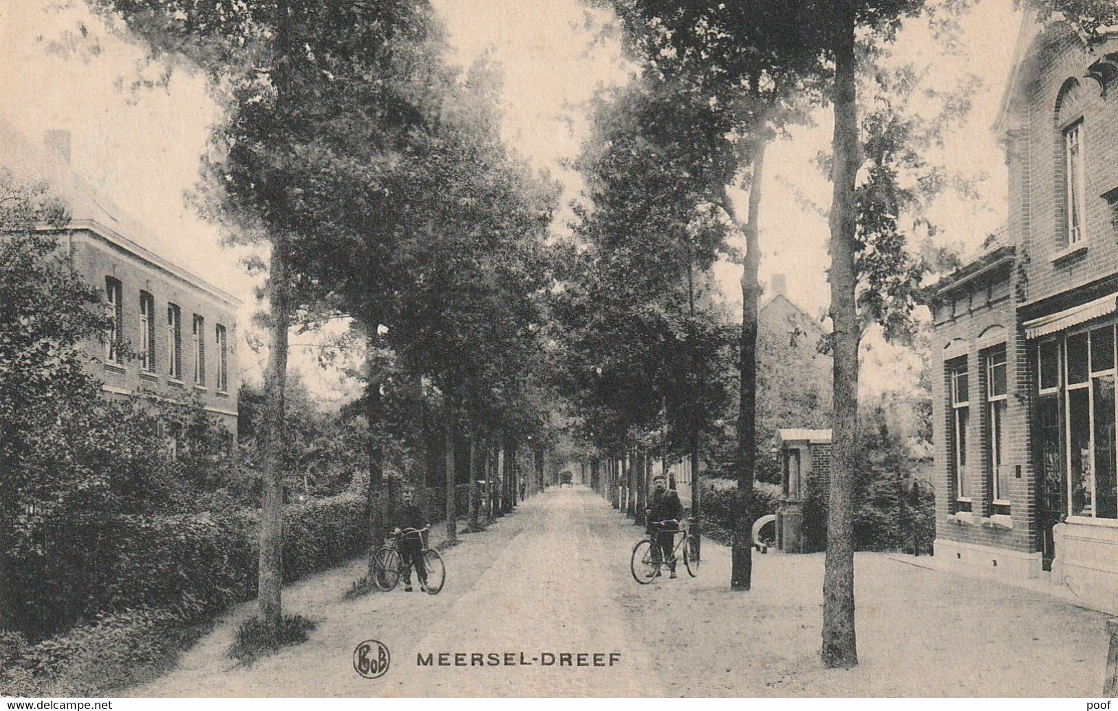 Meersel ( Hoogstraten ) - Dreef - Hoogstraten