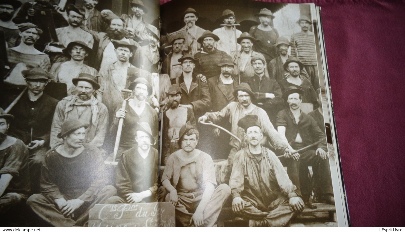 LE LIVRE DE PARIS 1900 Photographies Régionalisme Commerce Transports Attelage Métiers Cirque Moulin Rouge Montmartre