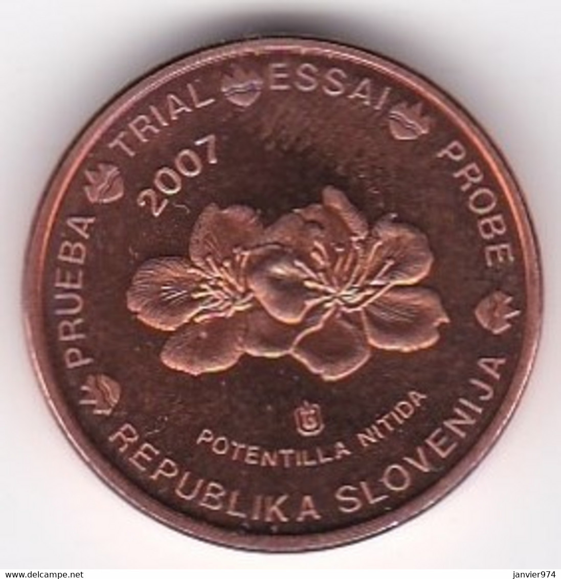 Slovénie 1 Cent 2007. Specimen. Essai Probe - Privatentwürfe