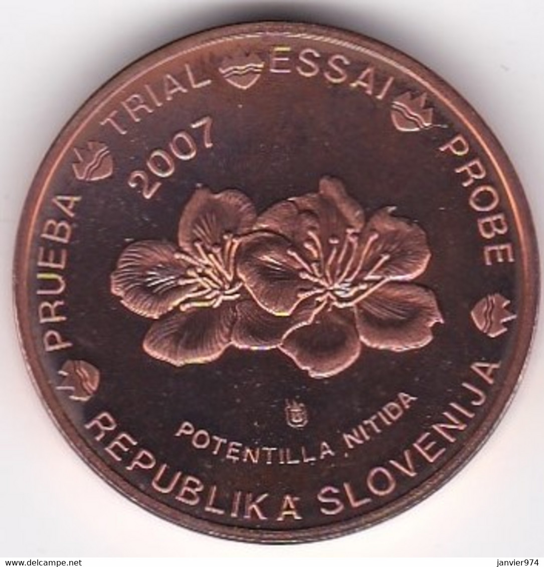 Slovénie 5 Cents 2007. Specimen. Essai Probe - Privatentwürfe