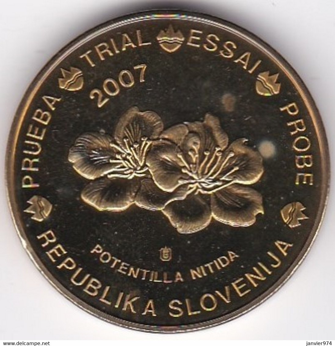 Slovénie 50 Cents 2007. Specimen. Essai Probe - Essais Privés / Non-officiels