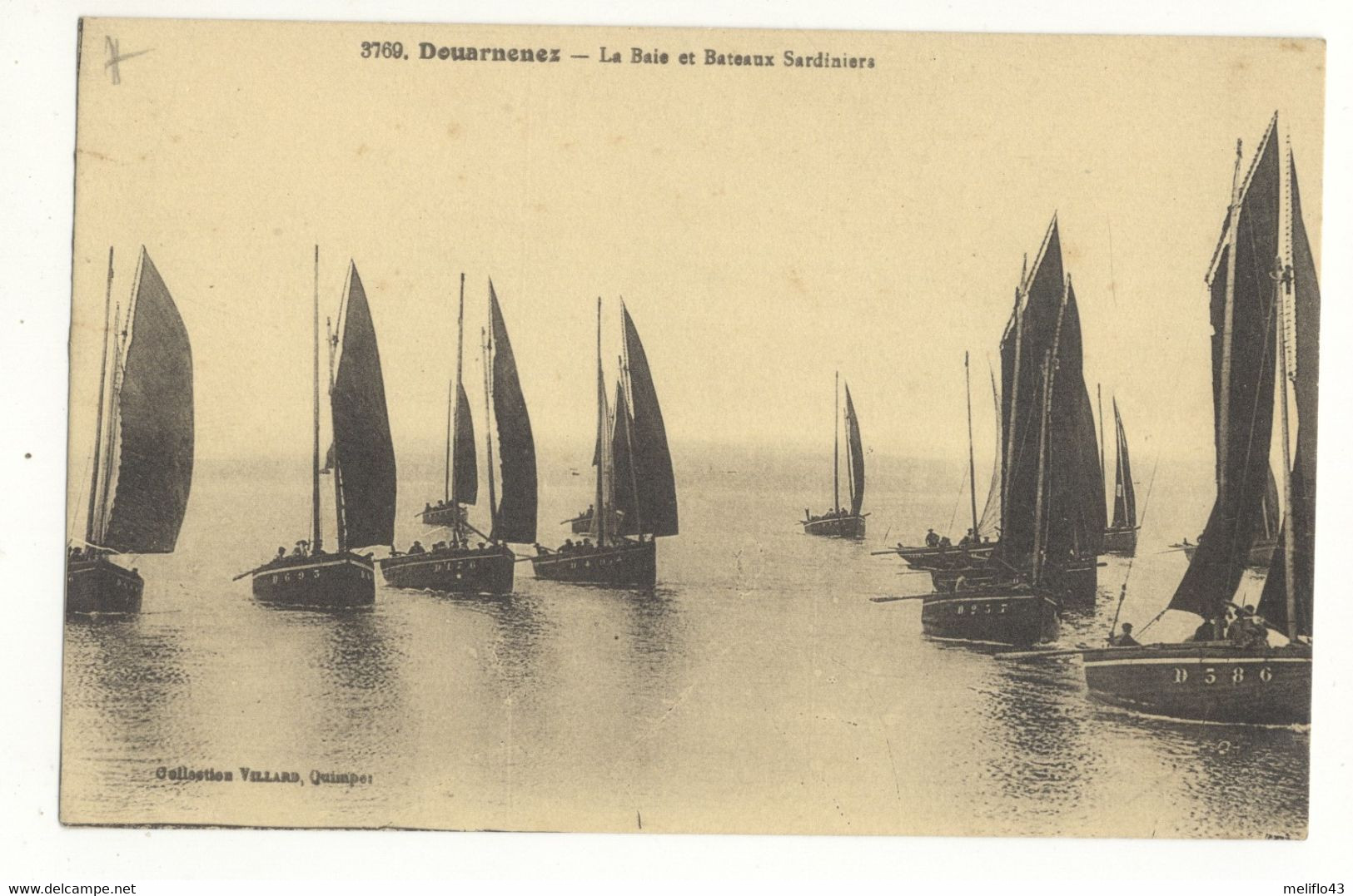 29/ CPA - Douarnenez - La Baie Et Bateaux Sardiniers - Douarnenez