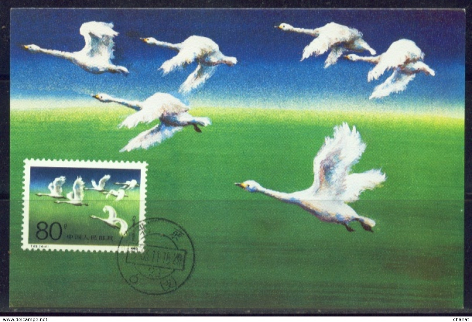 MIGRATORY BIRDS-HOVERING GEESE-MAXIMUM CARD-CHINA-1983-SCARCE-MNH-MC-49 - Oies