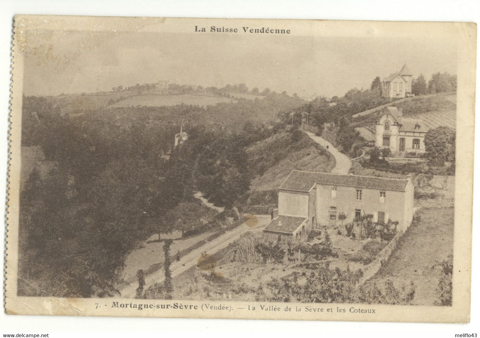 85/ CPA -Mortagne Sur Sèvre - Vallée De La Sèvre Et Les Coteaux - Mortagne Sur Sevre