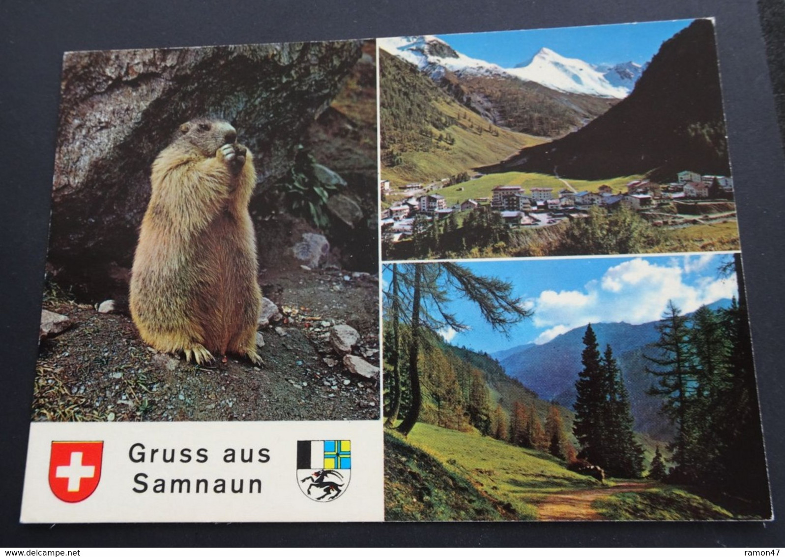 Gruss Aus Samnaun - Rud. Suter, Oberrieden-Zürich - # 1255 - Souvenir De...