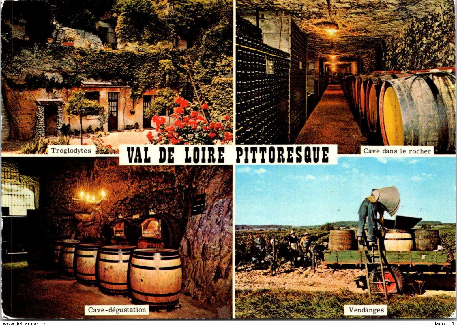 (1 K 41) France - Val De Loire - Caves With Barel - Cave Et Tonneaux - Vignes
