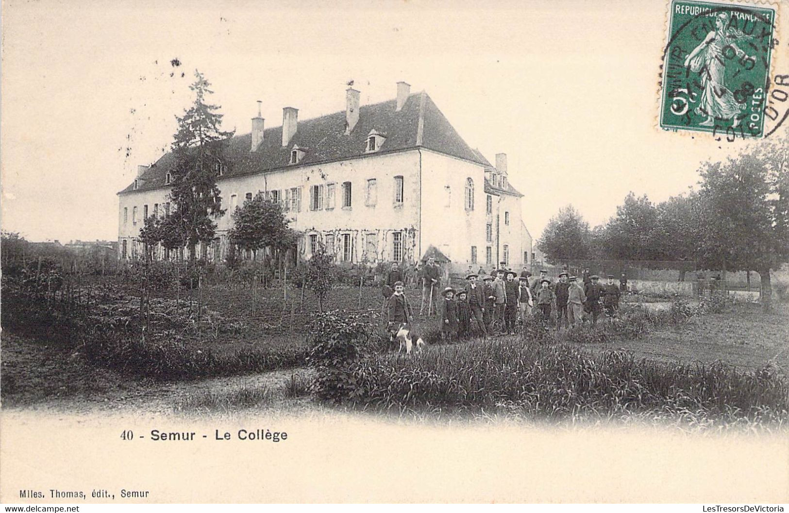 CPA France - Semur - Le Collège - Miles Thomas Edit - Animée - Chiens - Oblitérée Côte D Or En 1909 - Semur