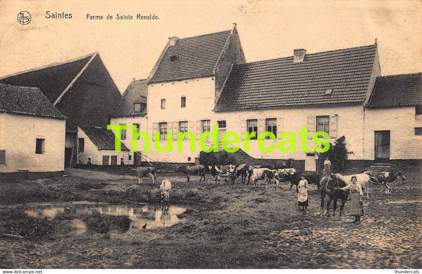 CPA SAINTES FERME DE SAINTE RENELDE - Tubeke