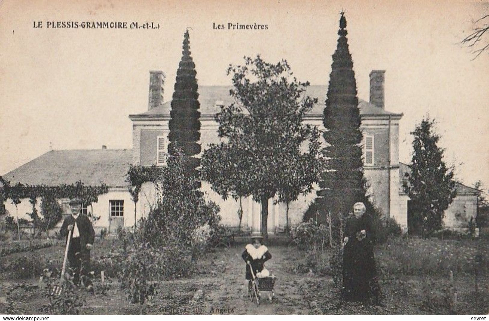 LE PLESSIS-GRAMMOIRE. - Les Primevères - Other & Unclassified