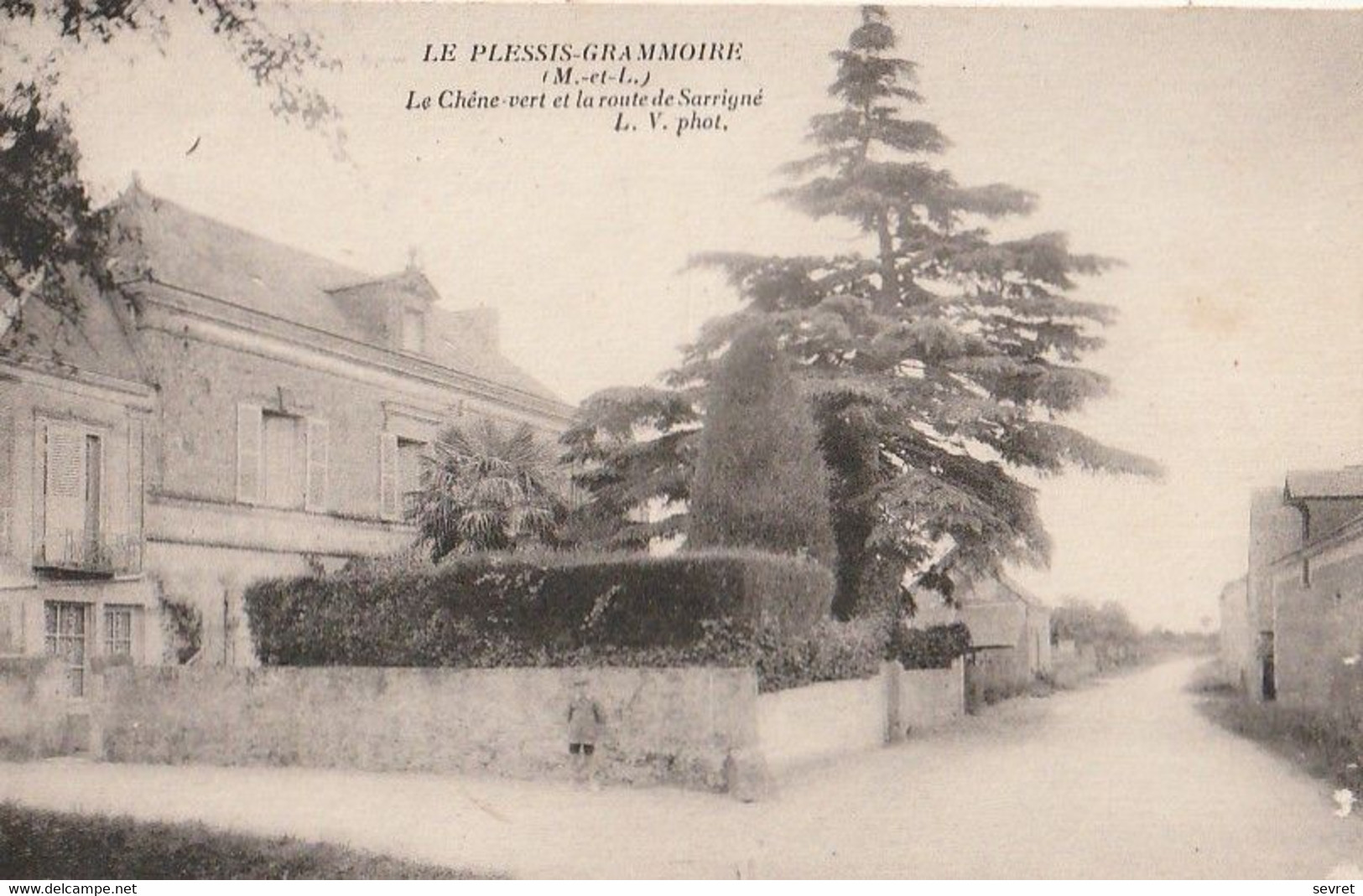 LE PLESSIS-GRAMMOIRE. - Le Chêne Vert Et La Route De Sarrigné - Autres & Non Classés