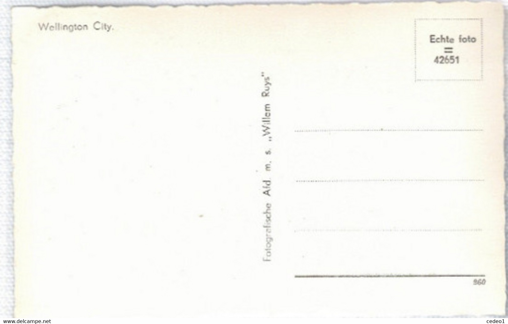 WELLINGTON  CITY - Neuseeland