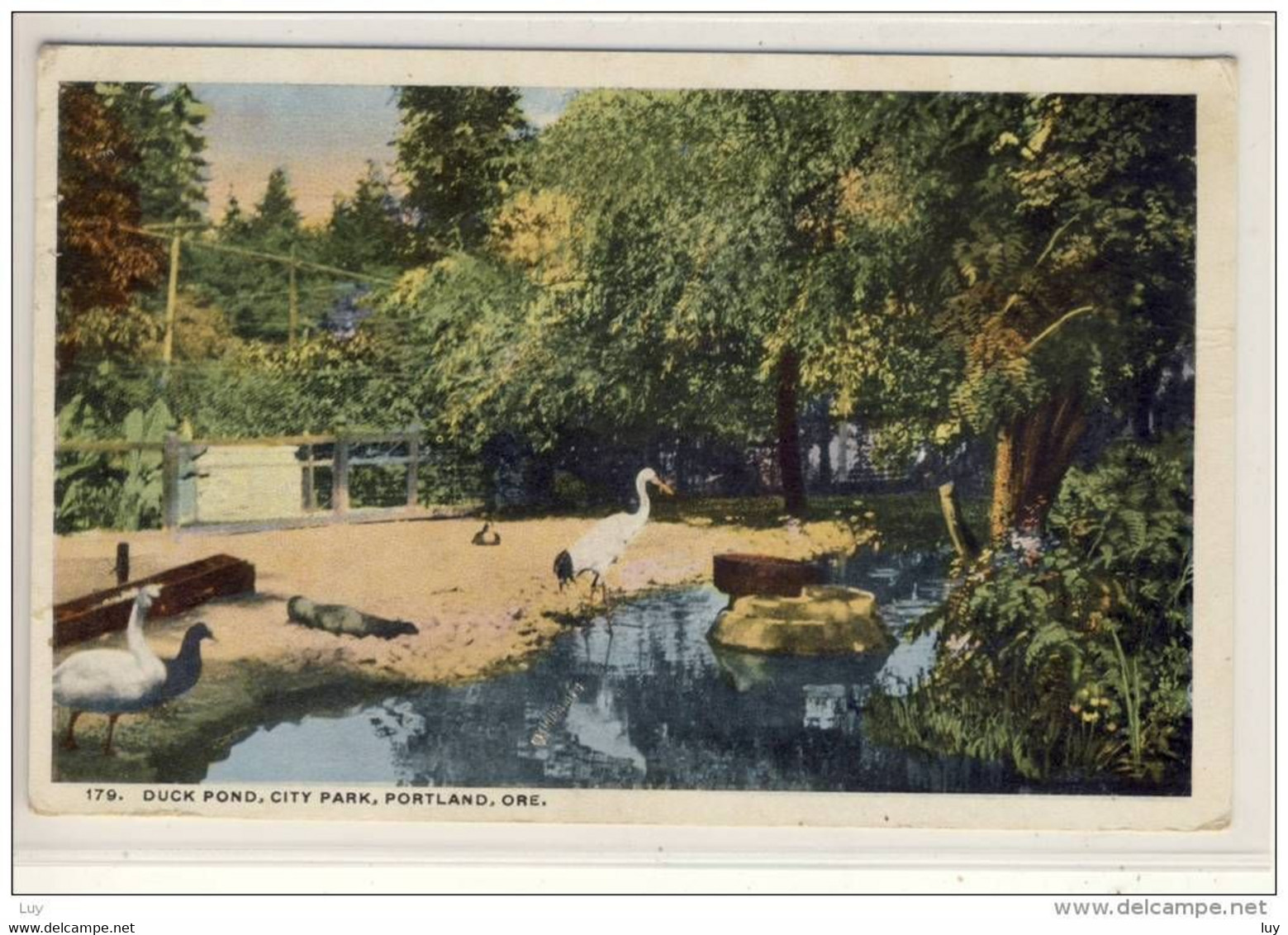 PORTLAND, OR - DUCK POND,  Used - Portland