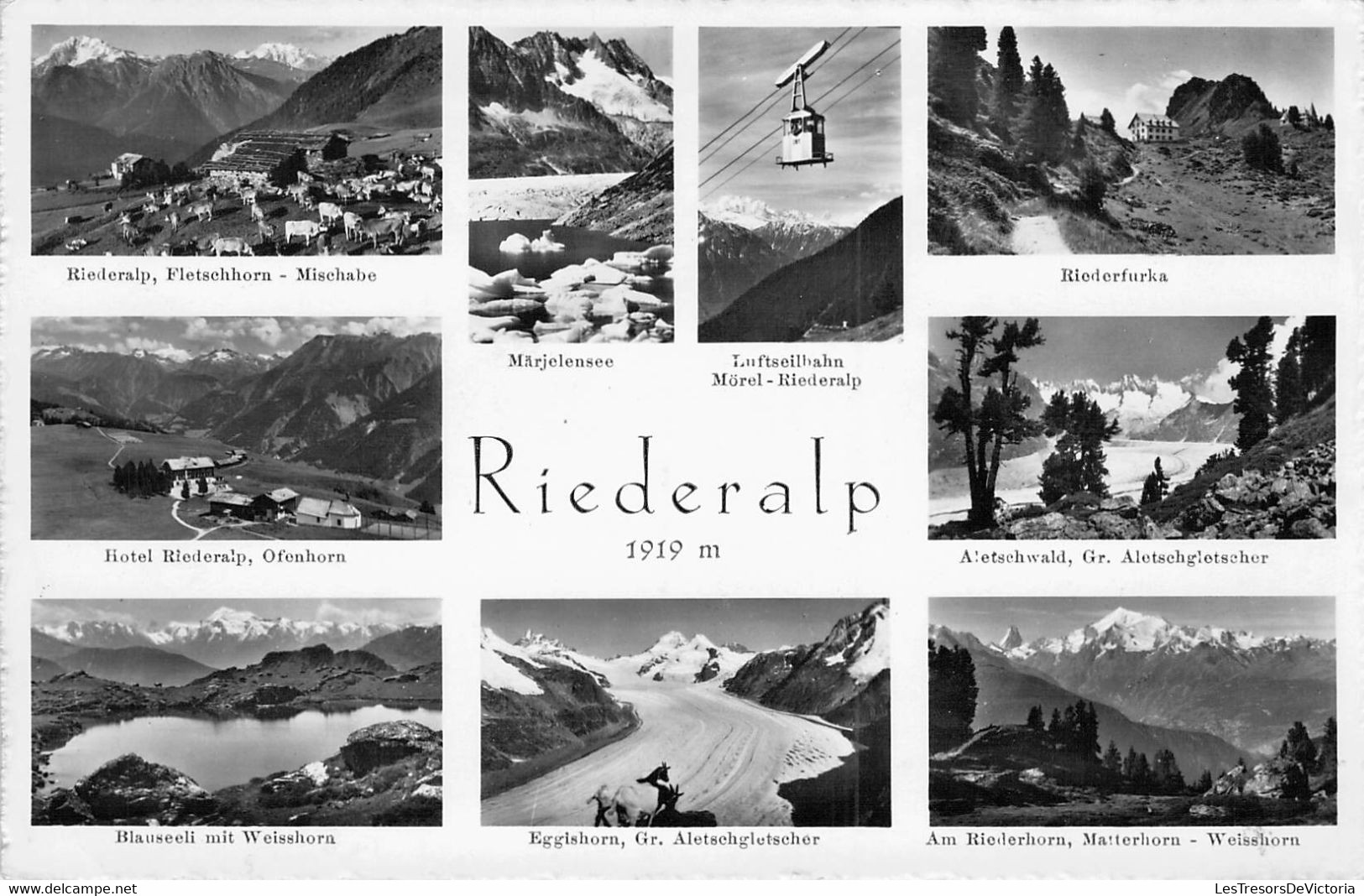 CPA - SUISSE - Multivue De RIEDERALP - 4918 - Gyger Et Klopfenstein - Riederalp