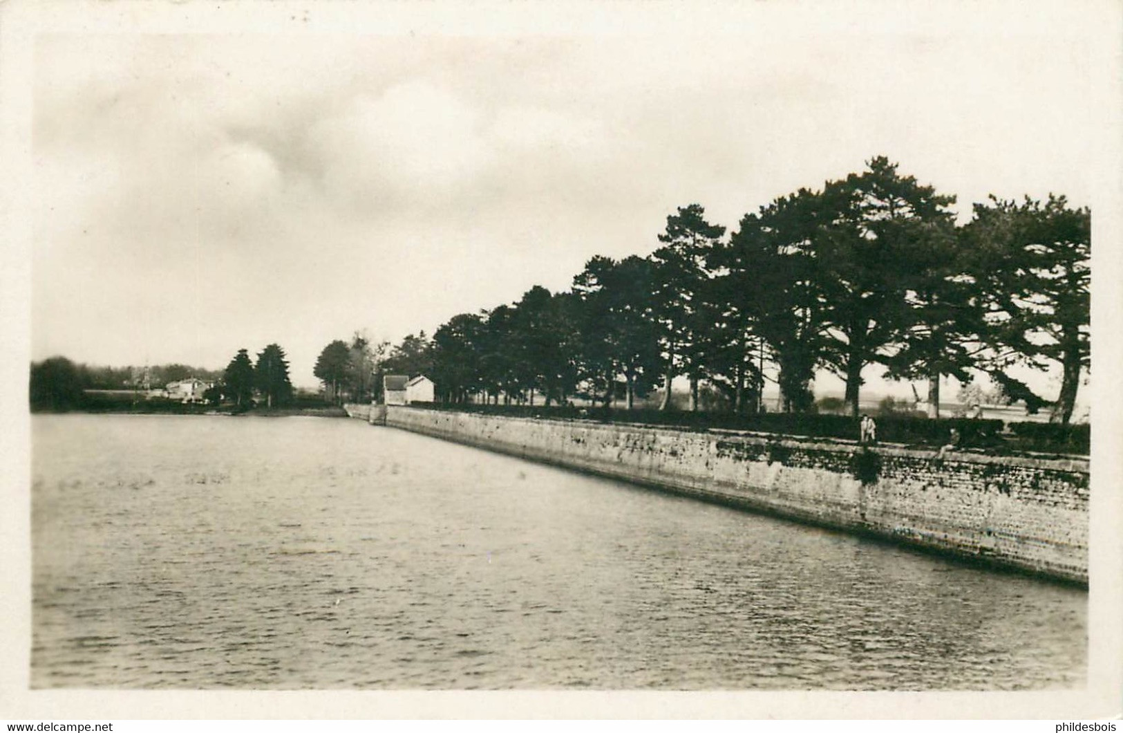 YVELINES  TRAPPES  étang De Saint Quentin - Trappes