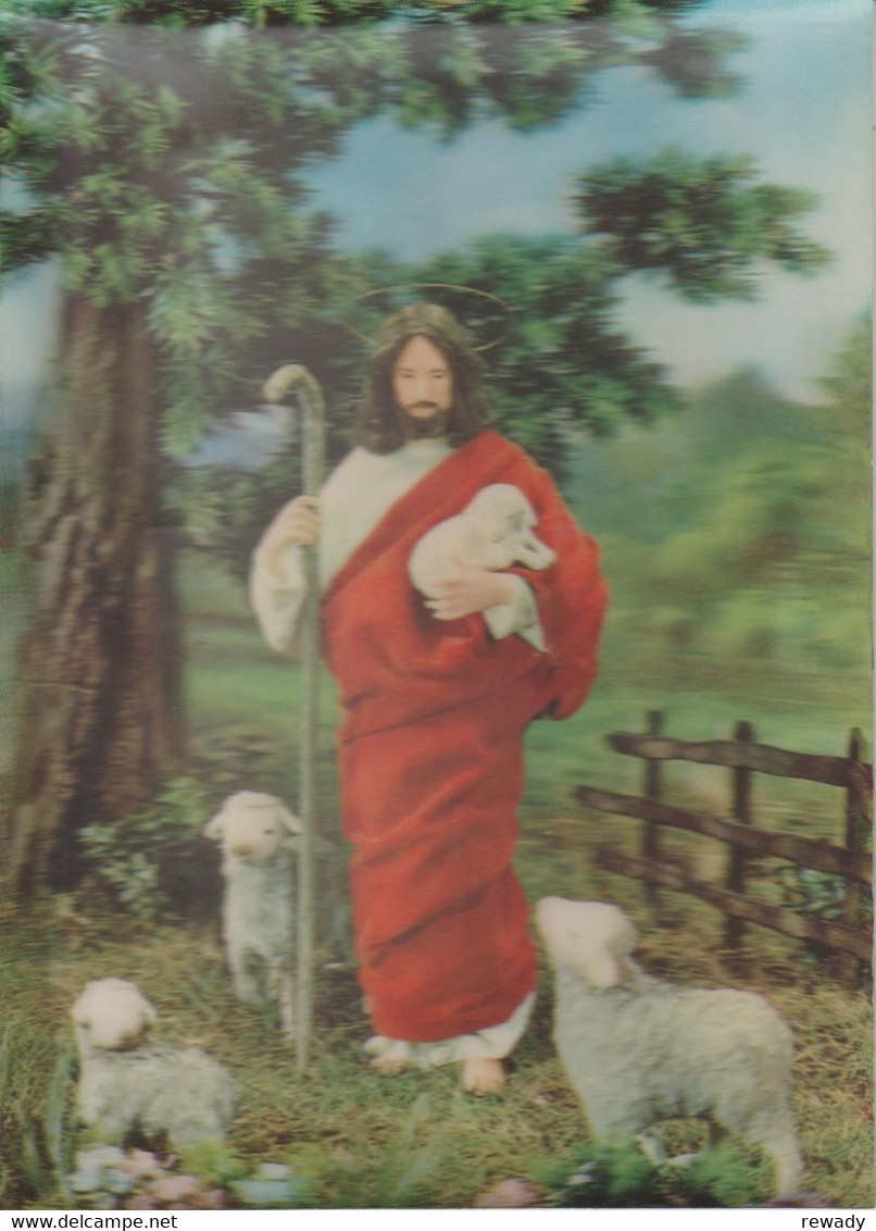 Jesus Christ - Lambs - 3D / Stereoscopique - Cartes Stéréoscopiques