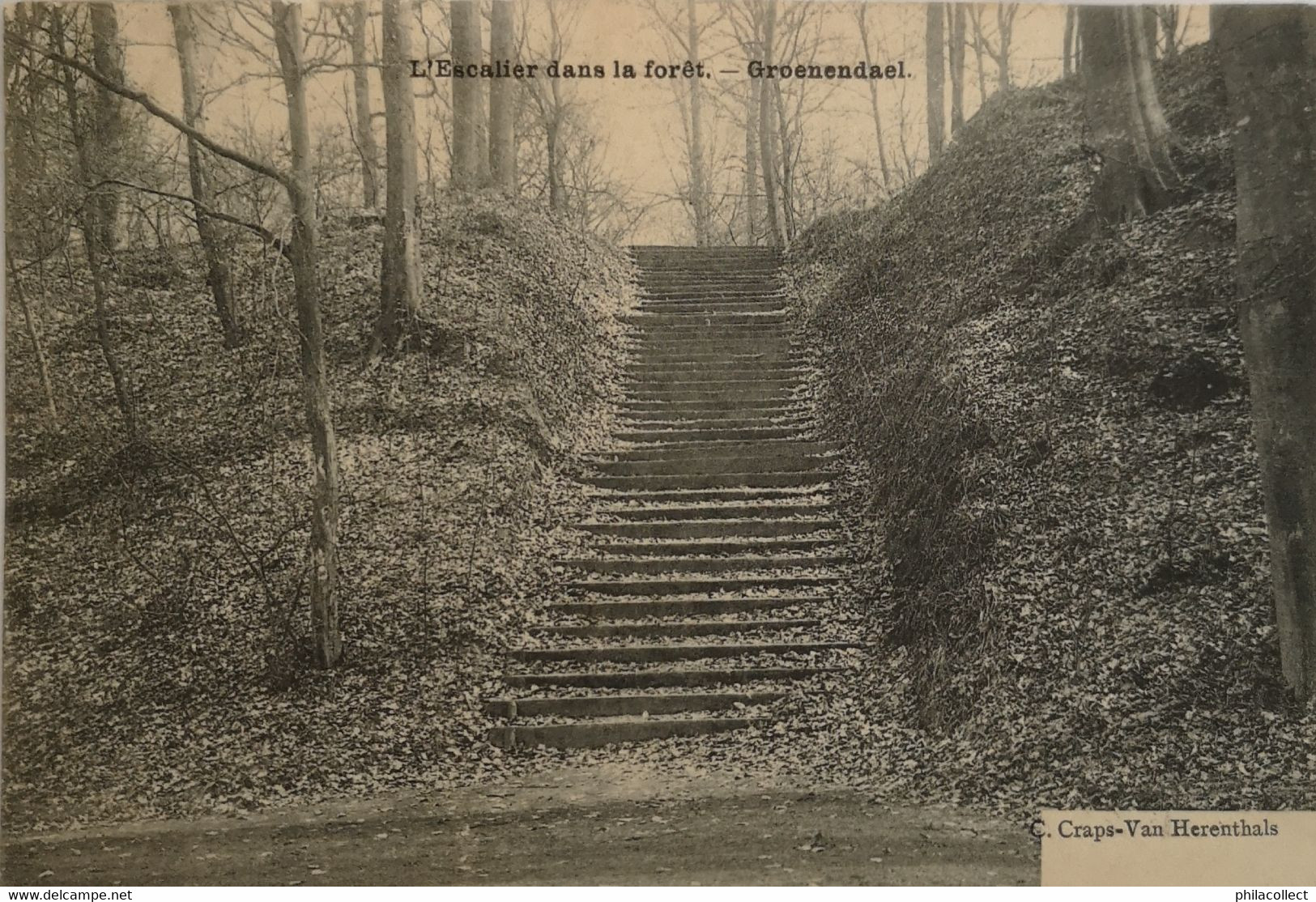 Groenendael (Hoeilaart) Escalier Dans La Foret 190? - Hoeilaart