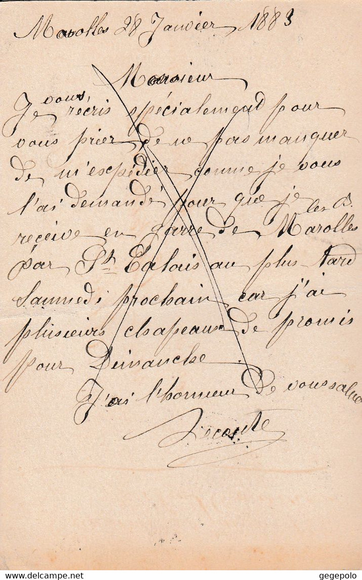 MAROLLES Les BRAULTS -  Carte Postale écrite En 1883 à Destination D'Albi Dans Le Tarn - Marolles-les-Braults