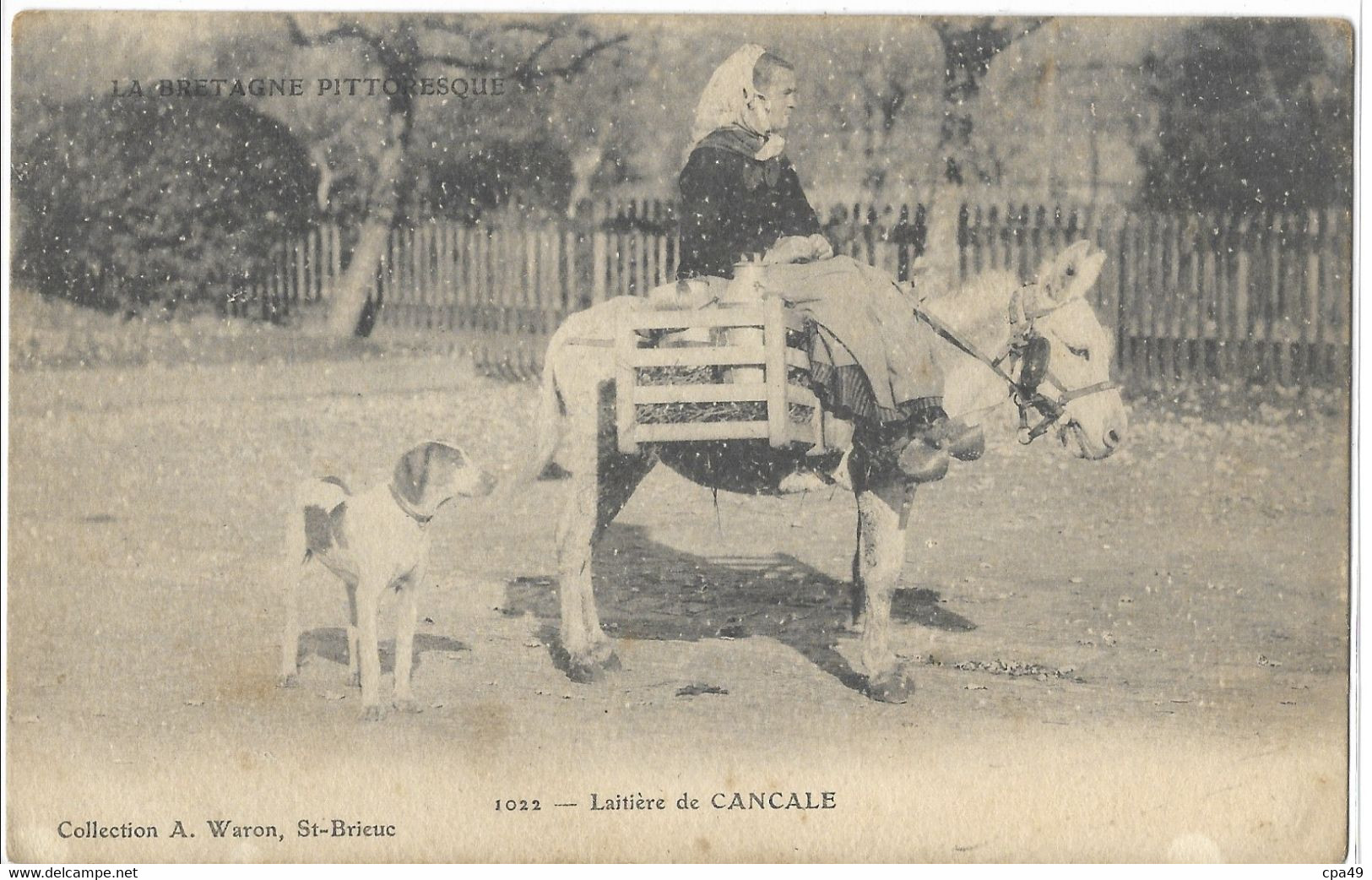 35   LAITIERE DE  CANCALE - Cancale