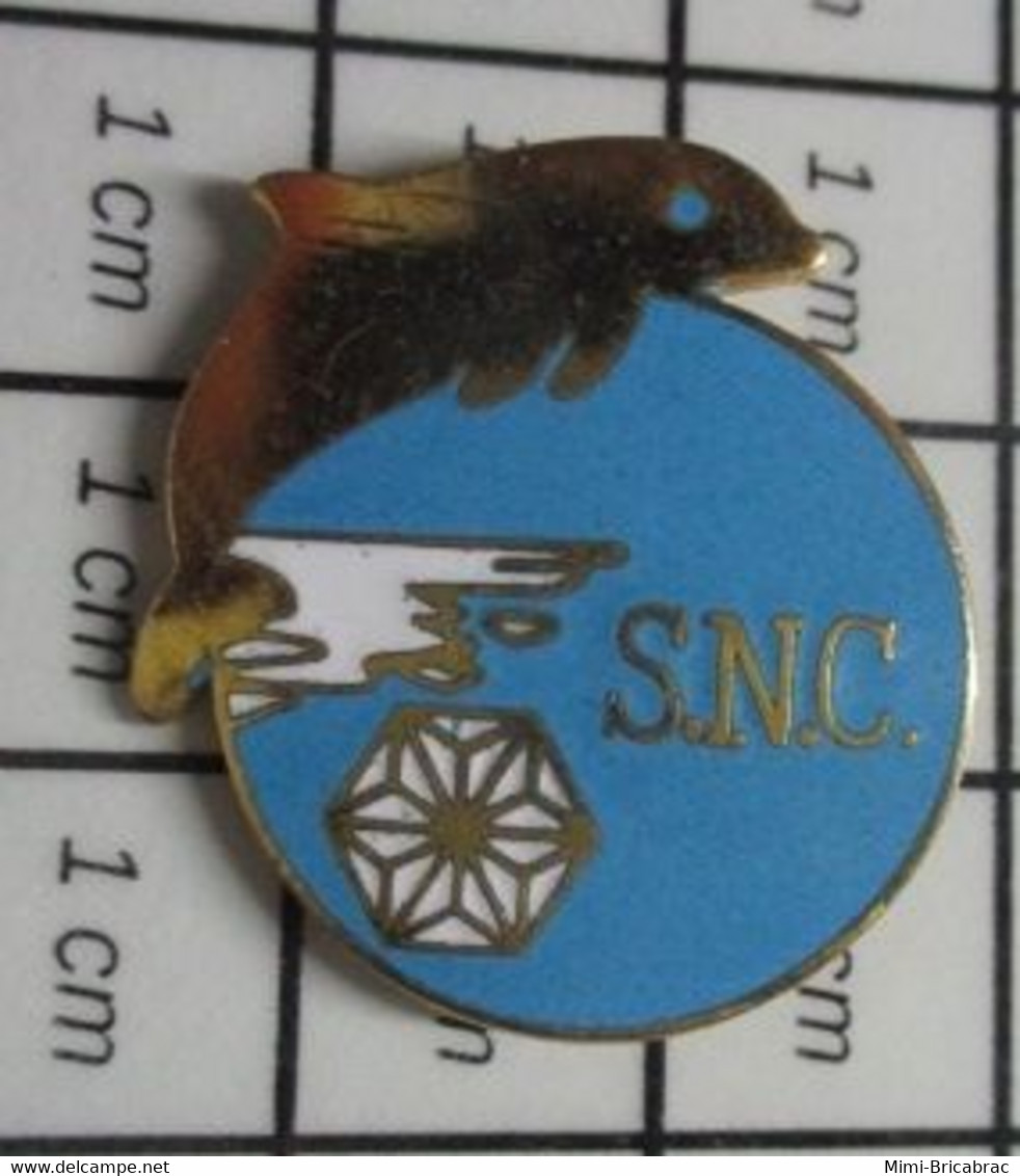 SP12 Pin's Pins / Beau Et Rare / THEME : SPORTS / CLUB NATATION SNC STADE NAUTIQUE CAENNAIS DAUPHIN - Zwemmen